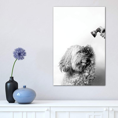 " Wet Dog, Lelu, Black And White " by Sophie Gamand