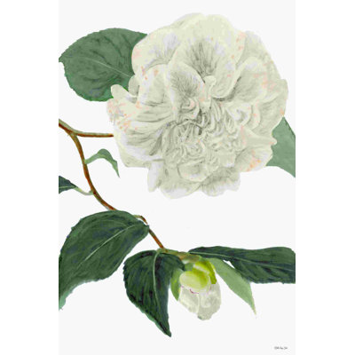Blanc botanique II