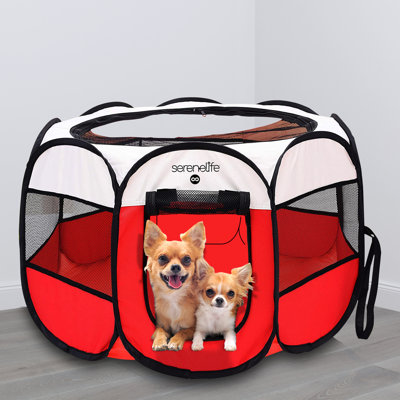Collapsible Pet Carrier with 1 Door