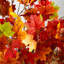 4 pi. Arbre d'automne artificiel pré-éclairé avec 180 lumières DEL blanc chaud