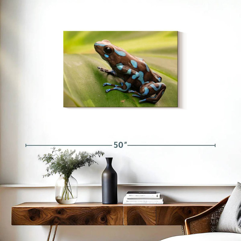 Brampt Exotic Dart Frog, 20" H x 30" W