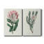 Protea N13 - ensemble de 2 impressions-909019862-909019856
