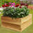 Raised Garden Box-1341954406