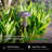 Solar Powered Integrated LED Pathway Light-99316069