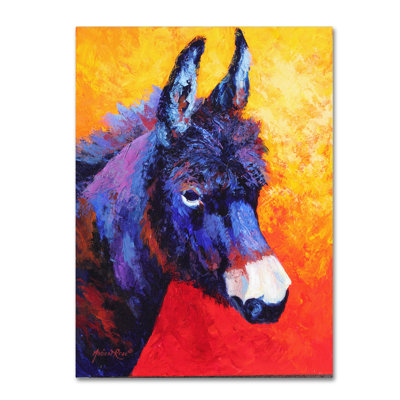 «Donkey IVX» par Marion Rose, reproduction sur toile