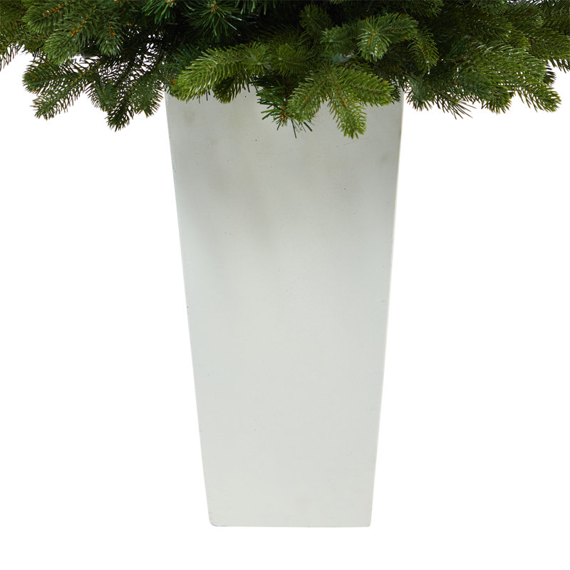 Washington 3.5' Green Artificial Christmas Tree with 50 Clear Lights