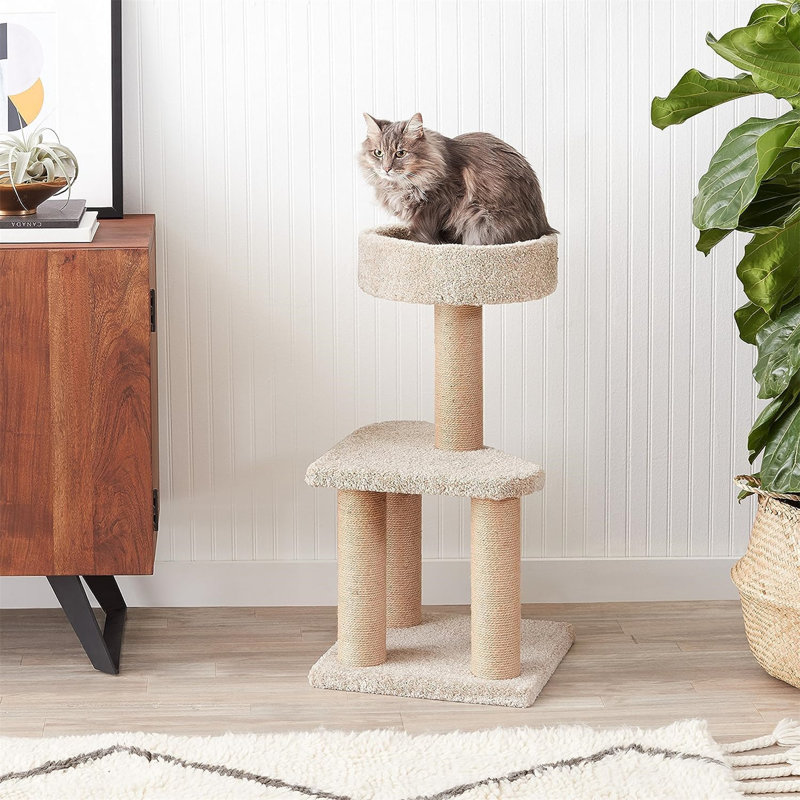 Arbre à chat H 15,71 po Fana