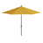 Jaune tournesol