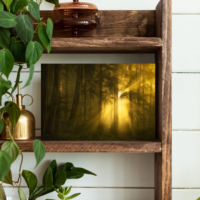 «Golden Forest», art dramatique, paysage étonnant, forêt, H 12 po x l 18 po