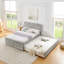 Lit simple Hund Trundle-130076203-130076205