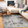 Oriental Area Rug