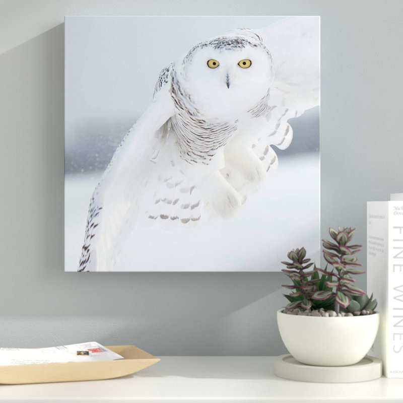 « white hibou », impression sur toile