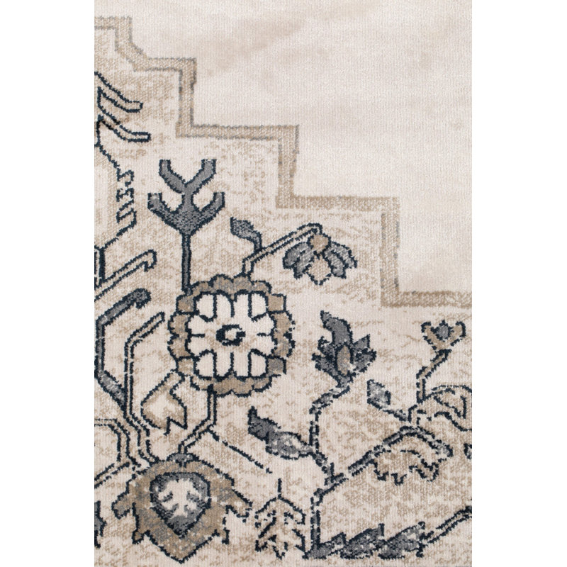 Mahal Oriental Area Rug in Gray/Brown/Beige, Rectangle 6' x 8'