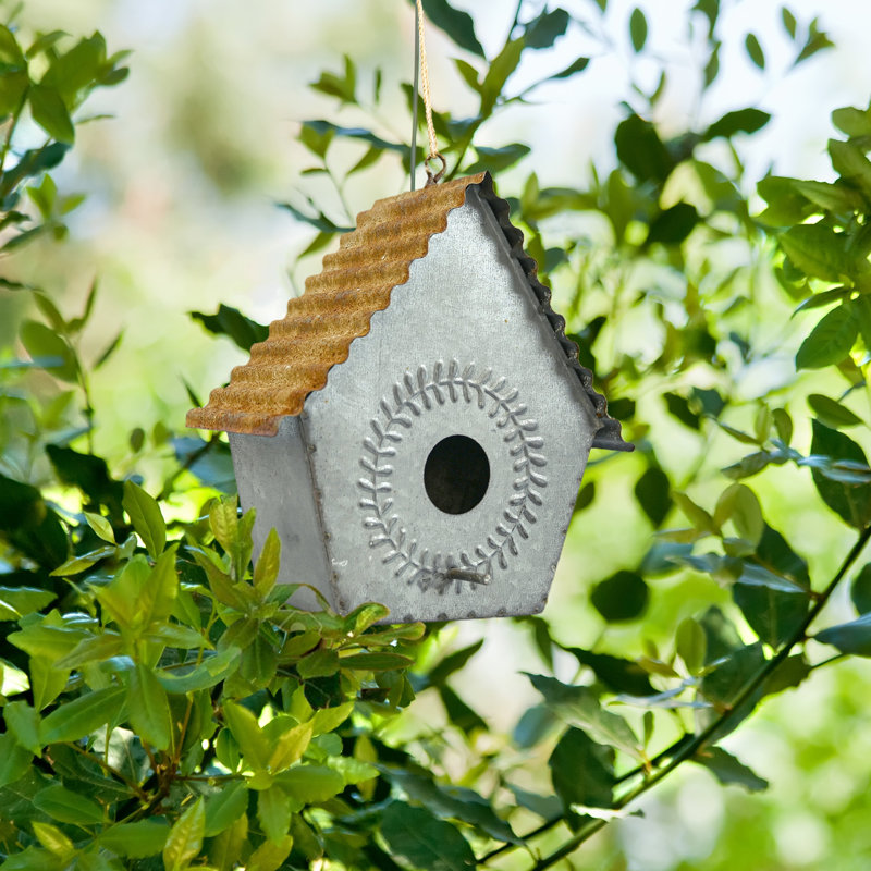 Maison d'oiseaux Hendricks 7,9 po x 7,7 po x 4,1 po