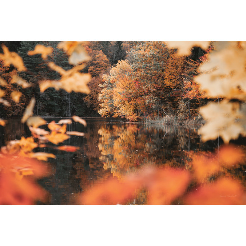 Réflexions d'automne, H 30 po x l 20 po x P 1,25 po