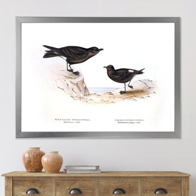 Oiseau rétro de l'Europe III - peinture sur toile