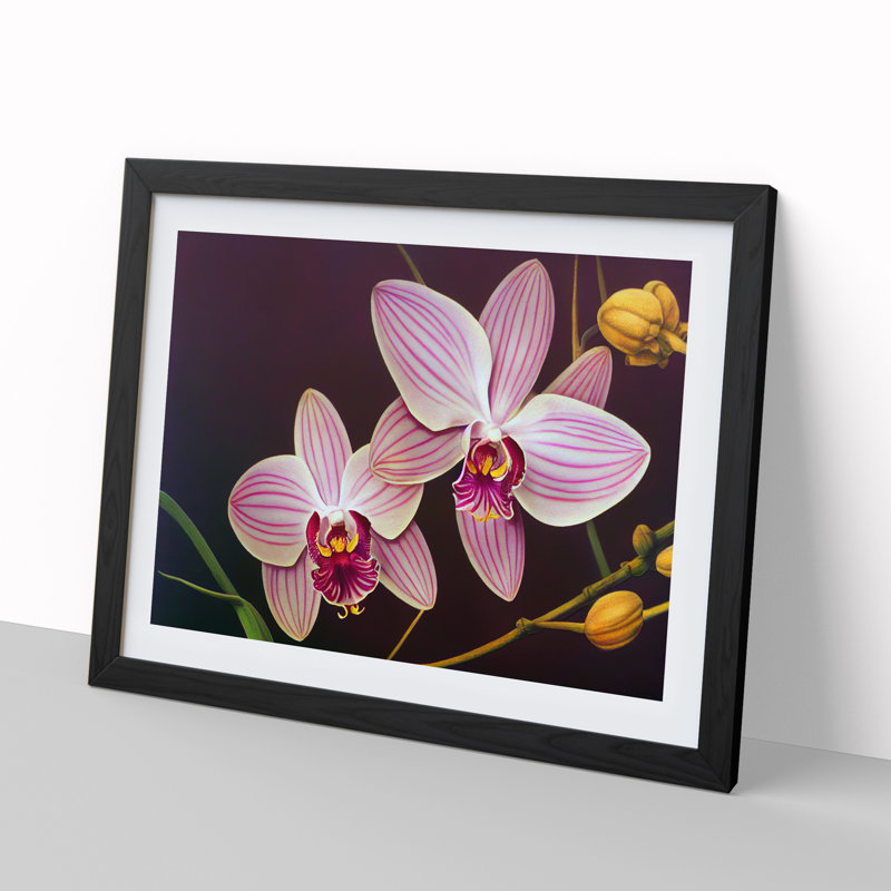 Iconic Orchid Flowers - Single Picture Frame Print, 46cm H x 64cm W x 2cm D, Black