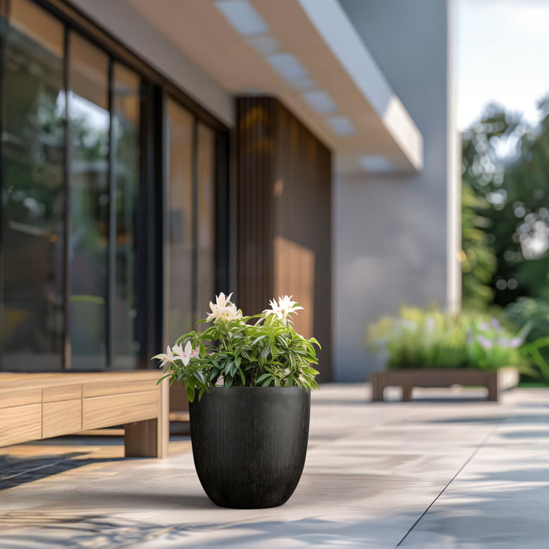 Larney Handmade Pot Planter, 16.93" H x 17.72" W x 17.72" D, Bronzed Black