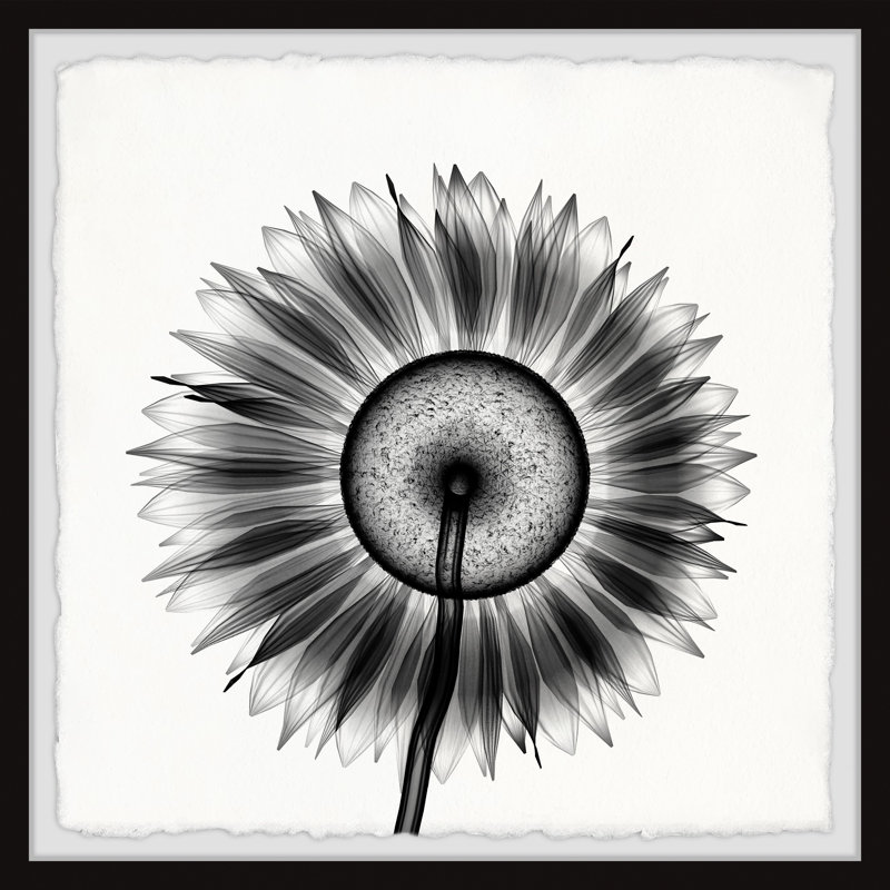 Sunflower Petals - Single Picture Frame Painting, 30cm H x 30cm W x 3.81cm D