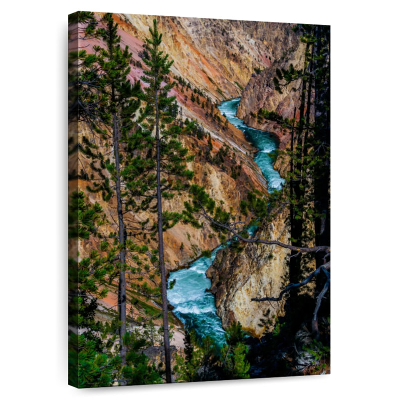 Alvord Yellowstone River Rapids, H 48 po x l 32 po