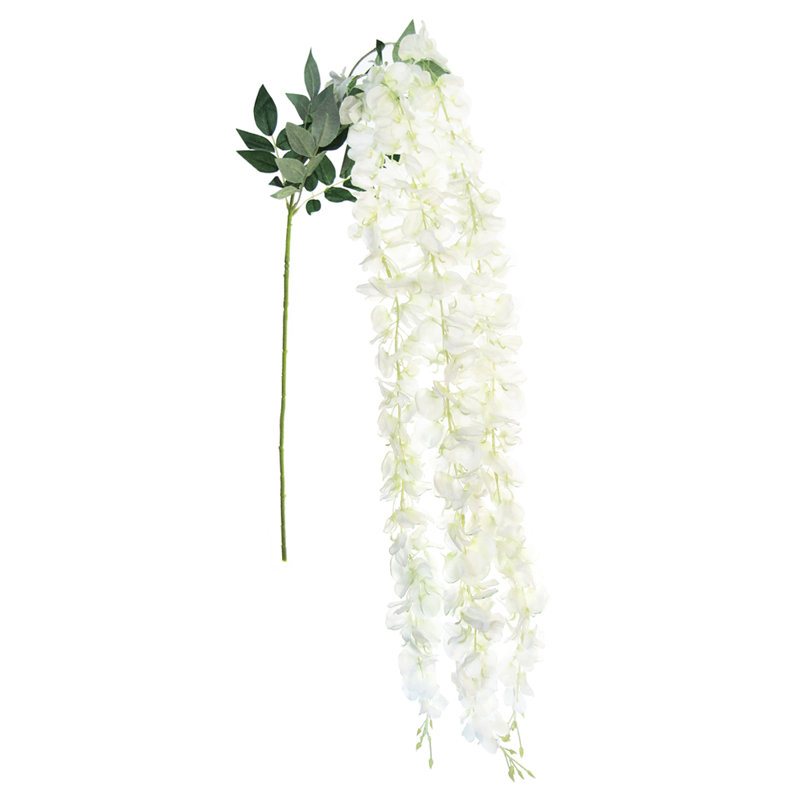 Longue tige de glycine suspendue, Crème