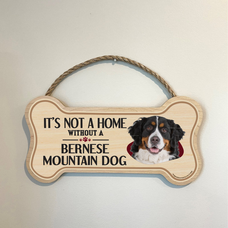«It's Not a Home sans Our Bernese Mountain Dog»