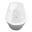 Baignoire de trempage autoportante en acrylique avec robinet 67 po. X 31 po. Mermaid-13171935