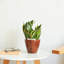 Ensemble de 2 pots à fleurs-902774925