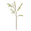 24-Inch Blossom Bud Stem