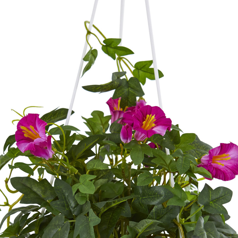Panier suspendu petunia