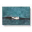 Wave Curl - Wrapped Canvas-56643440