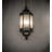 Adisynne 6 - Light Outdoor Hanging Lantern
