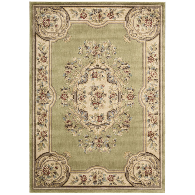 Beacan Oriental Indoor Rug