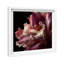 Velvet Labellum Print by Oliver Gal-1341835846-1341835866