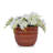 Handmade Solid Glaze Ceramic Planter Set Of 4, 7/9/12/14 Inch Diameter, Terra Cotta With Horizontal Grooves, For Herbs & Succulents Outdoor & Indoor Stairs Use, Breathable Clay With Drainage Holes-492848767