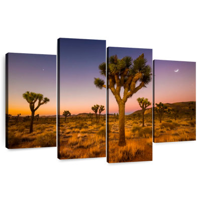 Nicci Joshua Tree Valley au coucher du soleil