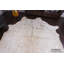 Tapis doré-20555960