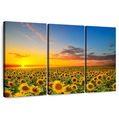 Crépuscule champ de tournesol Alvord