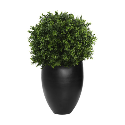 Seville Faux Boxwood Topiary in Fiberstone Planter