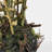 Faux Foliage Tree-539089121