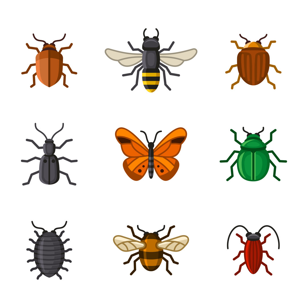 Insect Icons von In8finity - Leinwanddrucke