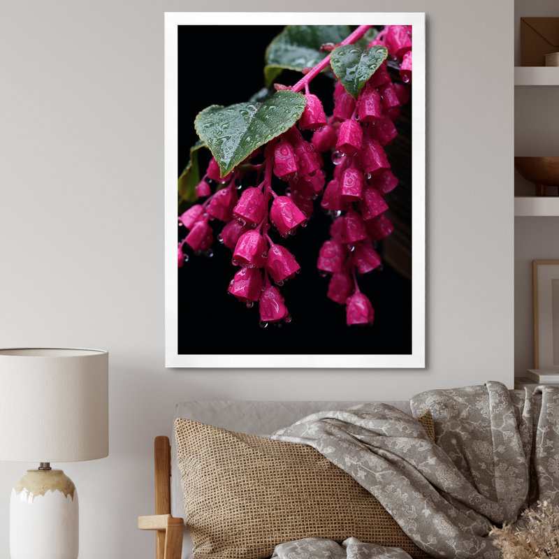 Colibri rose fuchsia I - art mural fuchsia, Cadre simple blanc, H 20 po x l 12 po x P 1 po