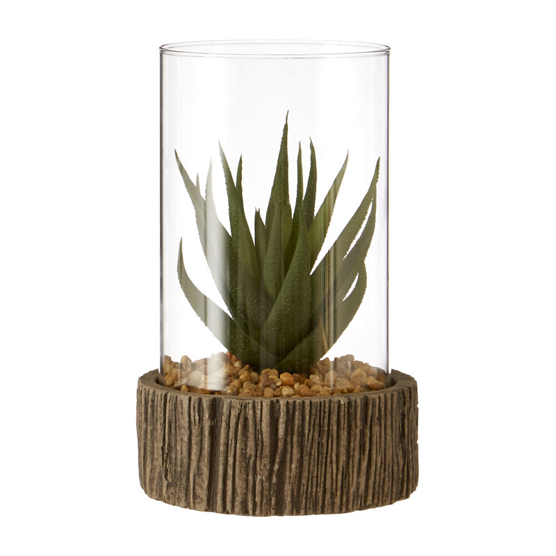 Sprague Succulent in Stone Jar, 17cm H x 10cm W x 10cm D, Brown