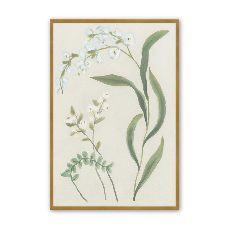 «Snowdrop Stems II» par June Erica Vess, reproduction d'art sur toile, H 16 po x l 12 po, Doré