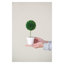 Ensemble de 3 mini topiaires en pots crème, décor de verdure artificielle H 9,5 po