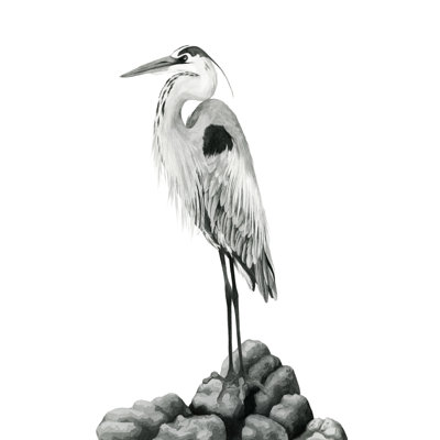 Shoreline Heron In B And W II by Grace Popp - Painting on Canvas