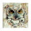 Owl II 1 Piece Wrapped Canvas Painting-817794952