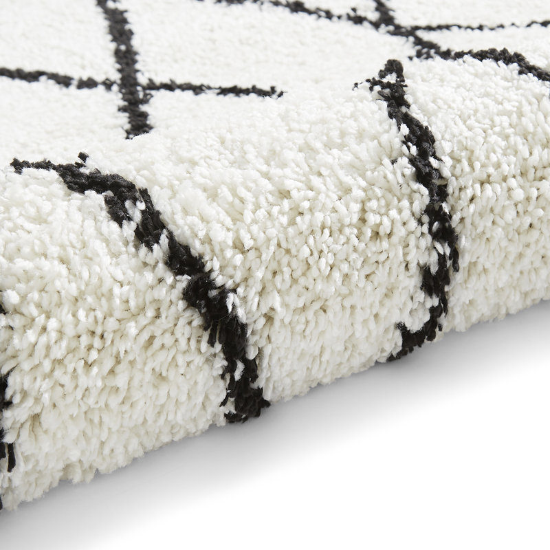 Archuleta area rug Machine Woven Rectangle