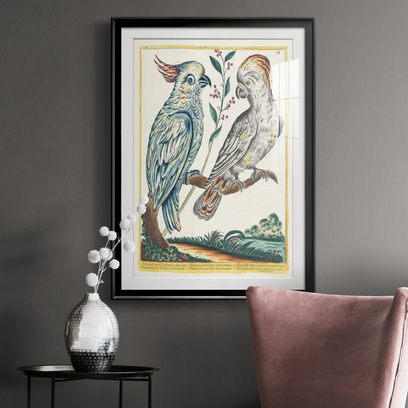 Oiseaux pastel I - reproduction de cadre photo, H 30,5 po x l 22,5 po x P 1 po, Noir