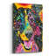 "Colley souriant" par Dean Russo-2089287330